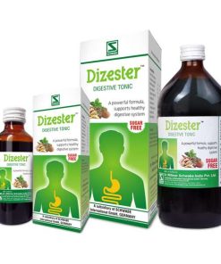 DIZESTER
